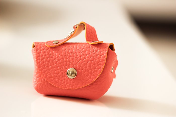 winactie_pinkgraphics_beautyblog_fietssleuteltasje_tasje-7415