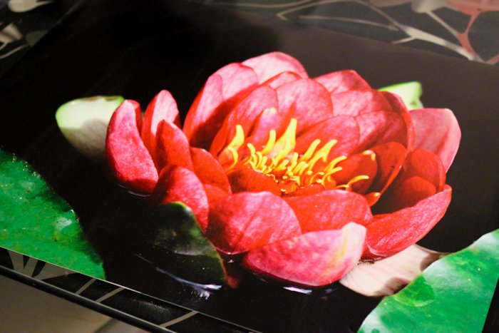 fotoposter-8248